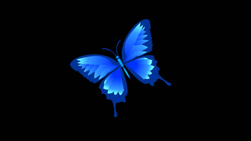 animated butterfly live wallpaper windows 10