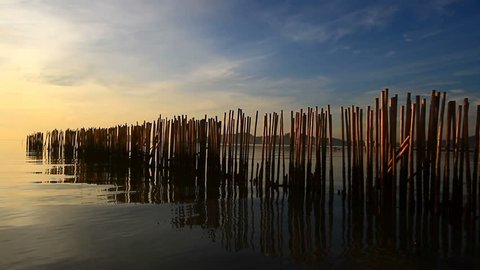 Soft wave a long the beach during sunrise with row of bamboo pole in Phuket,Thailand