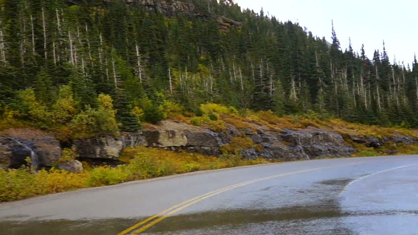 Male Ram Bighorn Sheep Crossing Road Wild Animal Montana Wildlife