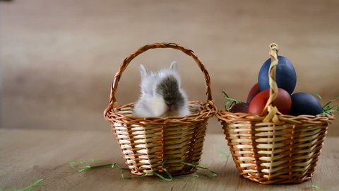 Happy Easter, bunny in a basket