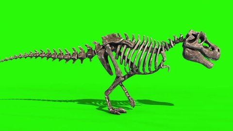 TRex Skeleton Walk Side Jurassic World 3D Rendering green Screen