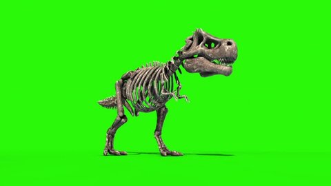 TRex Skeleton Die Front Jurassic World 3D Rendering green Screen