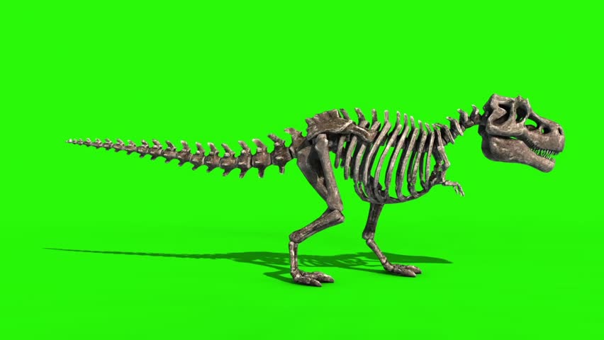 Атакующая сторона. Динозавр стоковое. Динозавры футажи. Скелет Дино в земле. Череп динозавра рисунок простой.