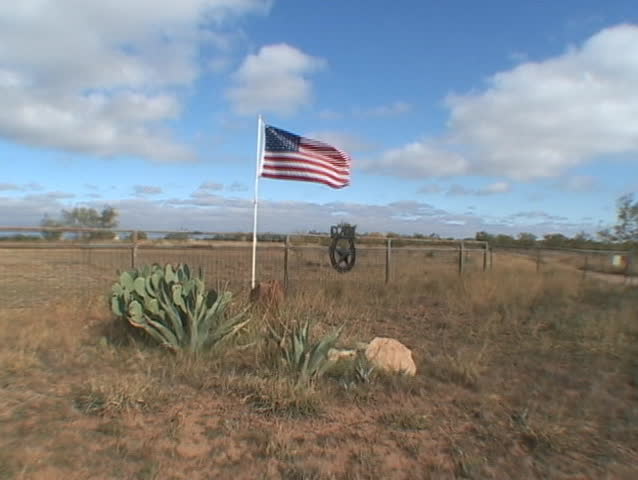 American flag on the background of cacti, Texas USA