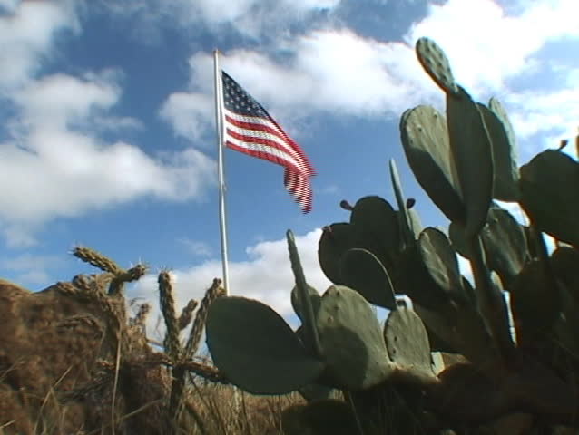 American flag on the background of cacti, Texas USA