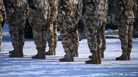 Detail with troops in camouflage uniform during a military ceremony.