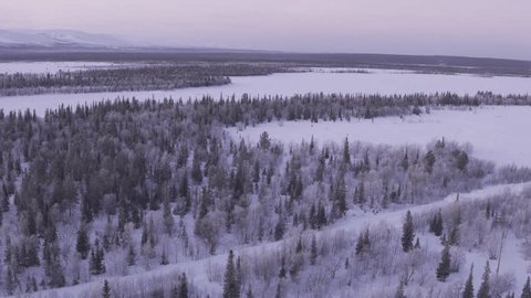 Aerial View: Flying over the winter forest. Arctic Circle. February 2017.