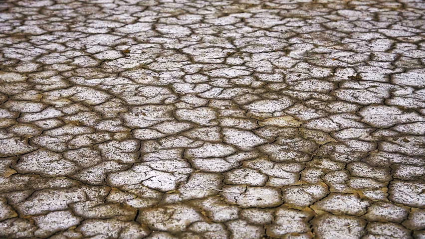 Cracked ground of the salt lake.