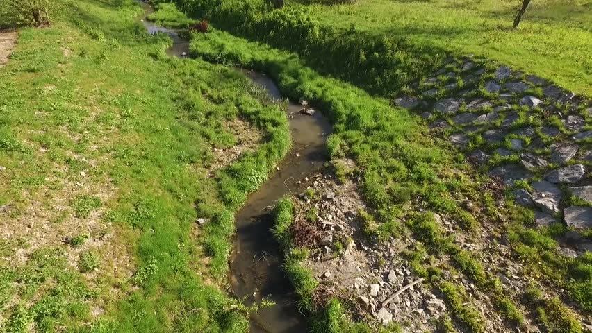 Small River in Summer