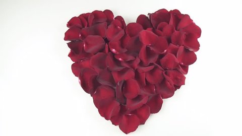 Heart shape of red rose petals blown off by the wind on a white background slow motion stock footage video