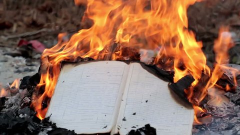 Bonfire of Burning Books