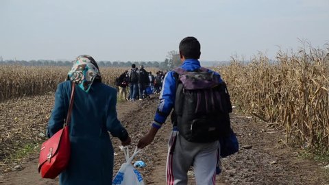 Refugees Running In Cornfield. Young migrant couple escaping from the war with plastic bag in their hands. Refugees trying to cross border in search of better life in Europe (EU).