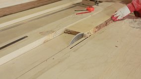 Cutting Wood in Carpenter workshop. Circular Saw.