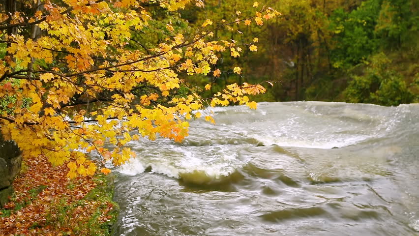 Looping video features Brandywine Creek disappearing over a large waterfall with colorful fall leaves above. Cuyahoga Valley National Park, Ohio.