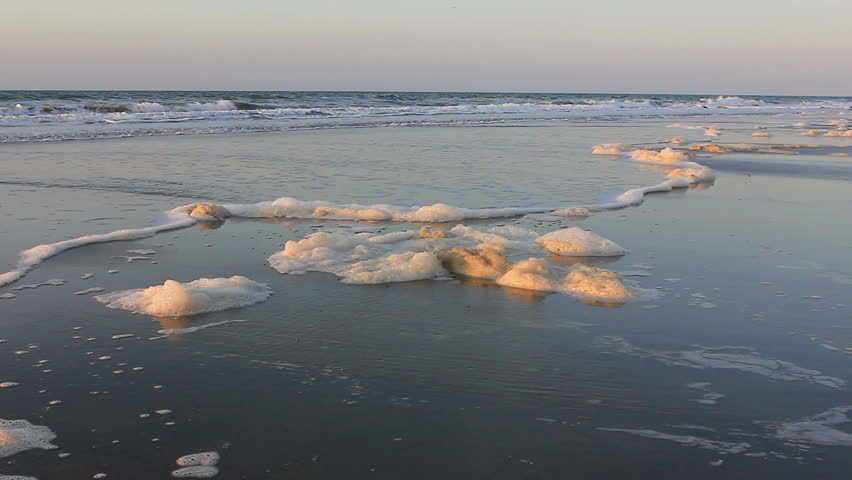 Foamy beach.  Beautiful beach morning with sea foam washing ashore