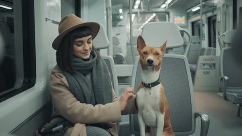 Front close view on brunette young smiling woman travelling by train with clever calm beautiful dog basenji, girl and her pet look through window together