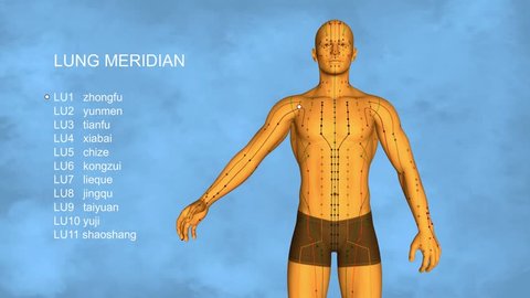 Lung Meridian, 3D Illustration, TCM