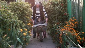 Grandfather with grand son working in the garden riding the wheelbarrow. Old man helping little boy outdoor. 4K - Powered by Shutterstock - Get 15% off with code: PIKWIZARD15