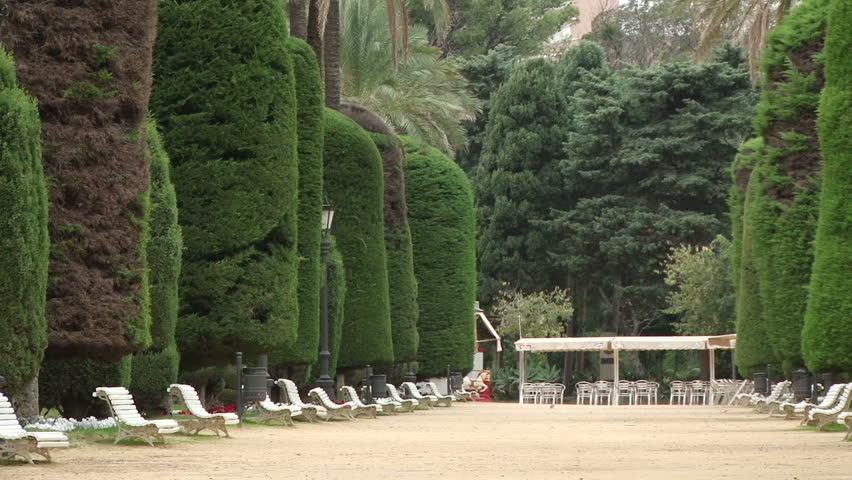 Avenue of large trees in Parque Genoves in Cadiz Spain. Wind is blowing the tree tops