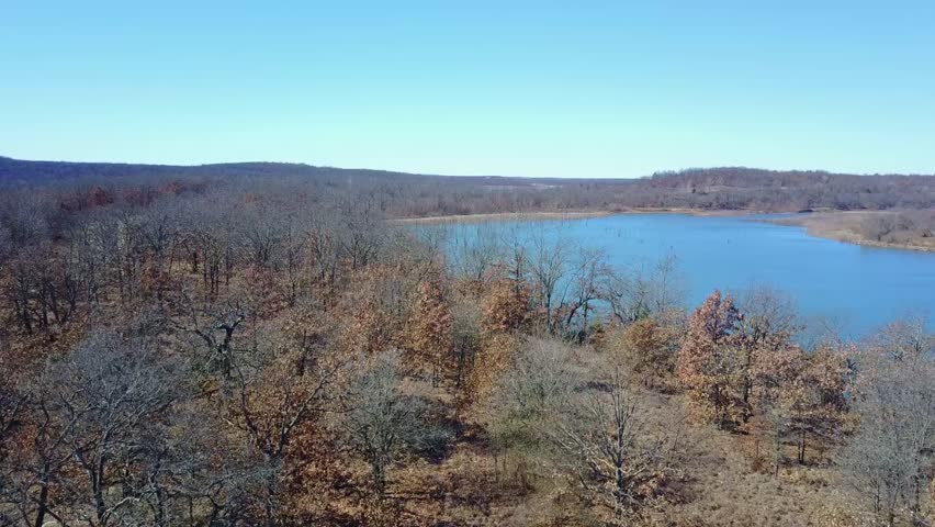 aerial view of a lake. flight begins over wooded shoreline and crosses over water into an area with many old tree stumps sticking out of the water.