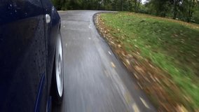 drive sport car through wet forest during rain
