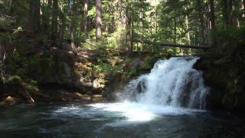 View of a stream and waterfall in Oregon Pacific Northwest United States