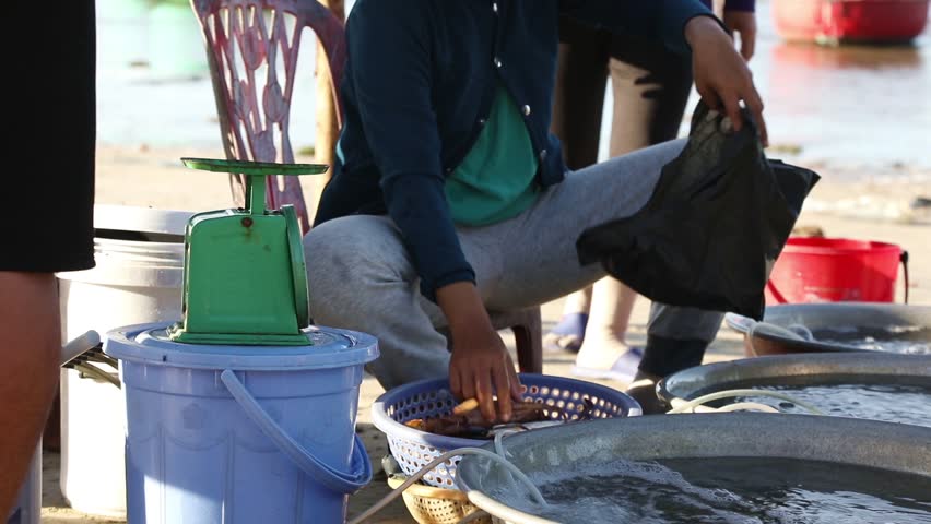 Vietnamese woman selling fresh catch seafood on the sea shore, fishing village Mui Ne. Vietnam
