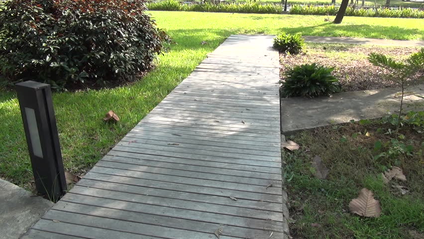 wood pathway and bush in the park