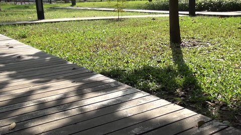 wood pathway and bush in the park