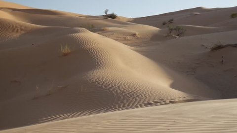 the wind blows through the dunes of the Sahara desert.