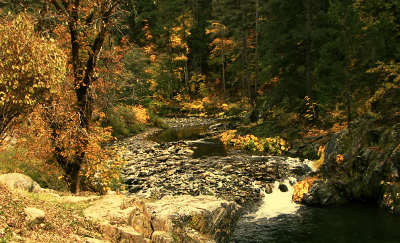 Autumn Gold 05 - A gentle mountain stream curves through autumn foliage.