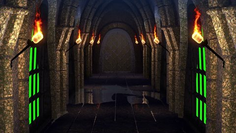 Movement along a dungeon with  torches and  exit
through an open door to a green screen