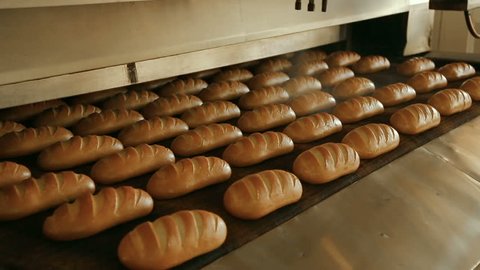 Loaf of bread on the production line in the bakery. Baked loaf of bread in the bakery, just out of the oven with a nice golden color. Bread bakery food factory production with fresh products.
