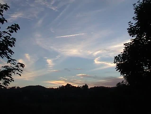 Sunset and trees in silhouette