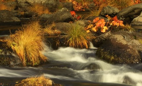 Autumn Gold 08 - A mountain stream flows through autumn foliage.
