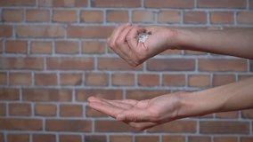 Girl pouring rice graind hand to hand, close-up slow motion video