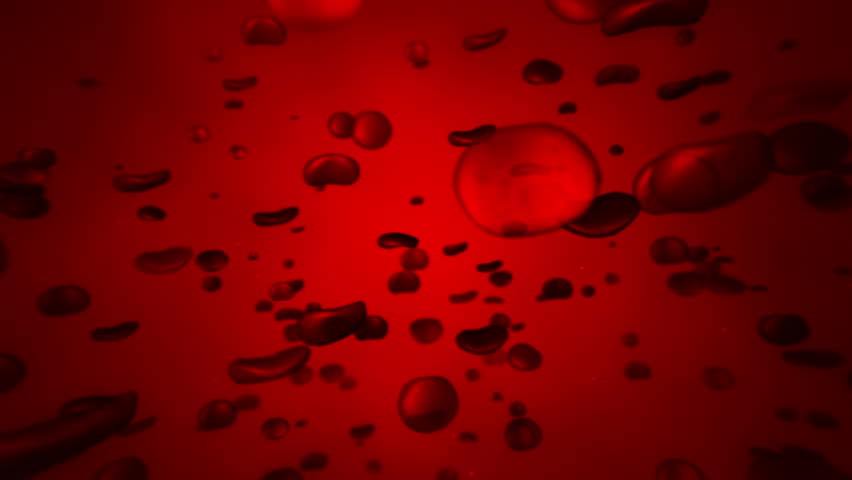 Red blood cells. /Red blood cells