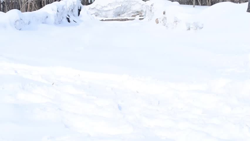 Village man in dirty pants and boots carries a pile of manure on the snow wheelbarrow