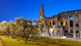 Coliseum at dawn Rome, Italy.