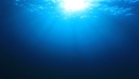 Underwater video footage in ocean. Sunlight in sea.