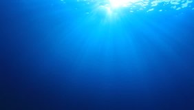 Underwater video footage in ocean. Sunlight in sea.