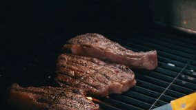 High quality video of steaks on barbecue grill in slow motion
