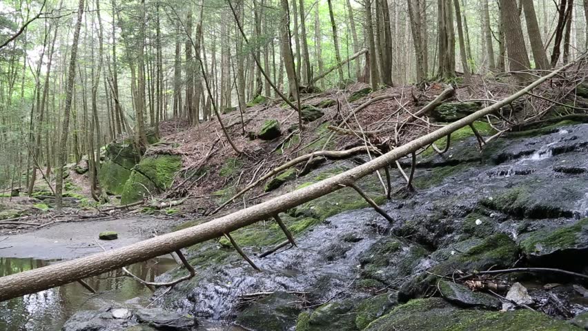 Waterfall and Stream at Bailey
