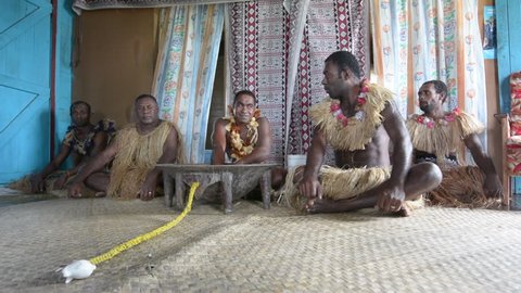 Indigenous Fijians men participate in traditional Kava Ceremony in Fiji