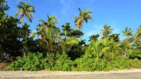 Landscape of a remote tropical beach and a Fijian bure construction on the hill in the Yasawa Islands, Fiji.