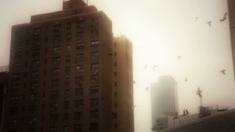 New York City 70s nostalgia pidgeon flock flying overhead brownstone apartment buildings
