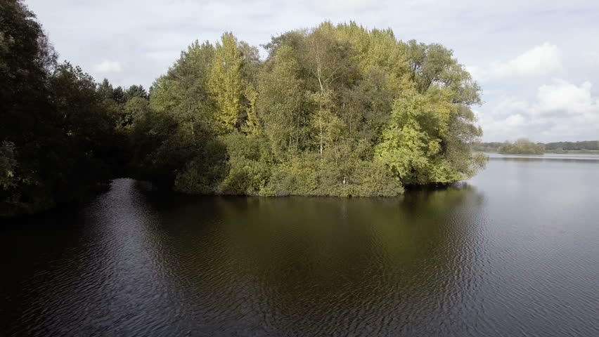 Aerial shot of trees and water with a flying heron.