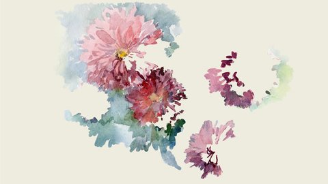 Chrysanthemums flowers water colour. Background of Sketched Flowers spring holidays.