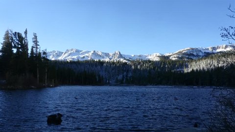 Fast timelapse of a sunrise at a morning, at a lake full of birds and icy mountains, in Mammoth lakes, in California, United states of America.