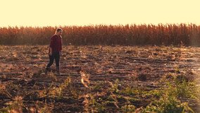 Young girl walking through potato field in sunset. Slow motion video. High speed camera.